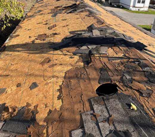 Roof demolition professional services